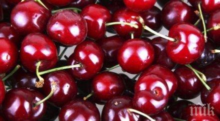 шаш кило череши