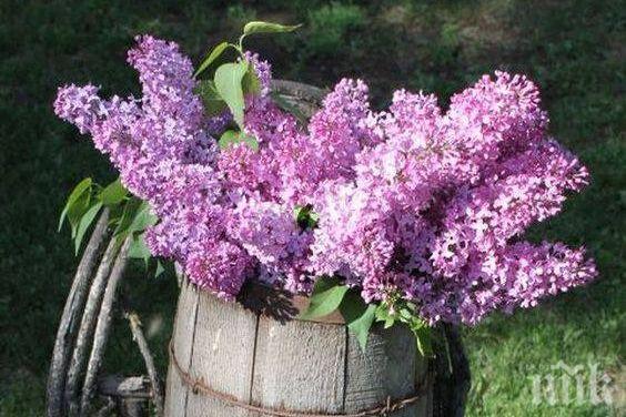 ЗВЕЗДИТЕ ГОВОРЯТ: Днес се решават финансови проблеми, отношенията ще бъдат бурни