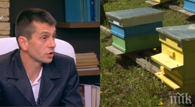 Българският мед негоден за пазара заради примеси от опасен пестицид