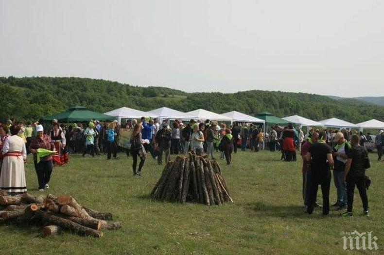 В Странджа се провежда традиционния „Фестивал на зелениката”