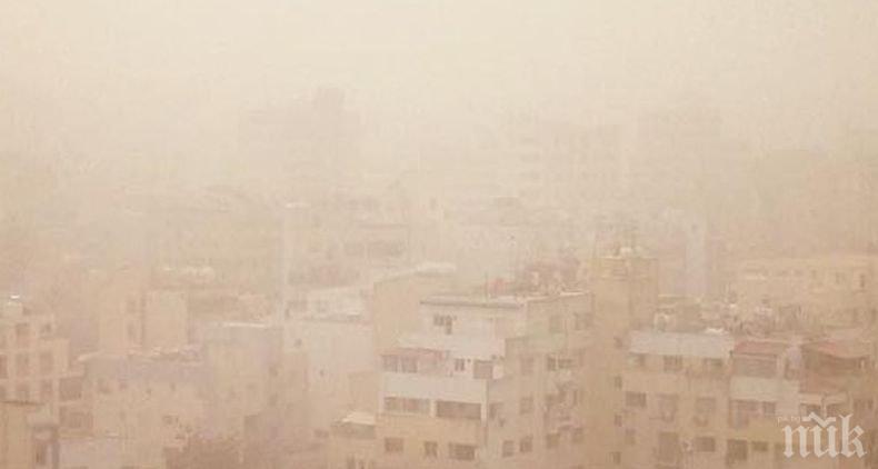 Майките в Кипър излизат на демонстрация за борба с климатичните промени