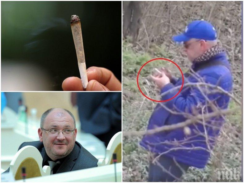 НАПУК НА МОРАЛИСТИТЕ: Спипаха депутат да пуши марихуана (ВИДЕО)