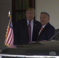 „Индипендънт”: Доналд Тръмп се срещна в Белия дом с Виктор Орбан (ВИДЕО)