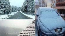 ВРЪЩА ЛИ СЕ ЗИМАТА? Сняг и виелици в Сърбия, стихията настъпва към България (ВИДЕО/СНИМКИ)