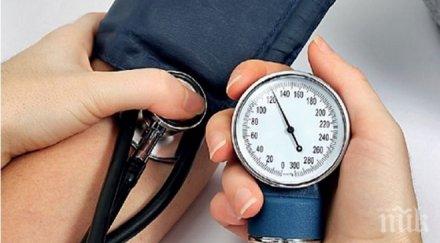 световният ден борба хипертонията лекари безплатни консултации града