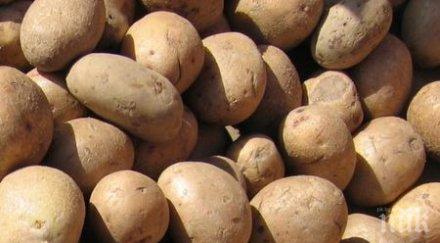 картофите поскъпнаха 100 година