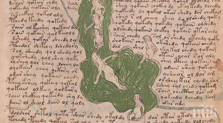 мъртъв език разгадаха тайната загадъчен манускрипт