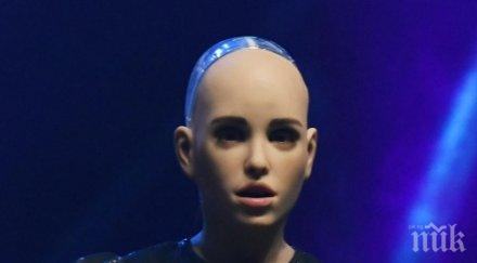 хит първата секс кукла робот света беше показана фестивала webit снимки