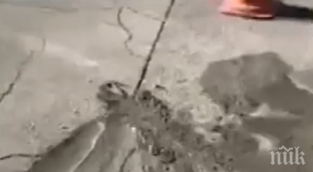 застрояването продължава бетон дробовете пловдив