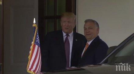 индипендънт доналд тръмп срещна белия дом виктор орбан видео