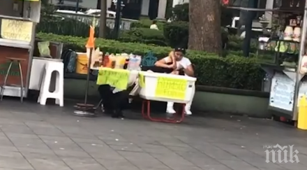 паднете смях куче скейтбордист разсипа сергия мексико видео