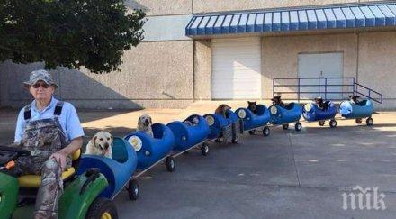 пуф паф пенсионер тексас построи влакче бездомни кучета снимкивидео