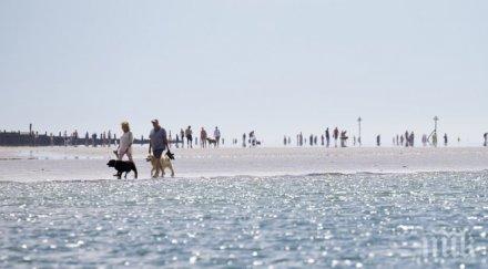 живакът скочи градуса кипър