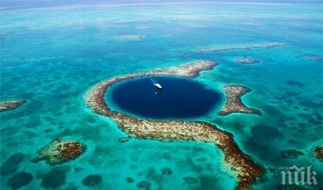 Рекордно спускане под вода: Намериха боклуци на 11 000 м дълбочина в Марианската падина