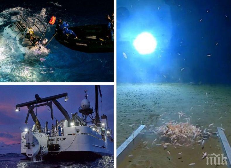 Рекордно спускане под вода откри на дъното на океана...