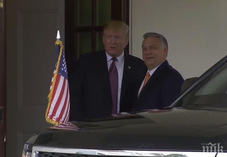 „Индипендънт”: Доналд Тръмп се срещна в Белия дом с Виктор Орбан (ВИДЕО)