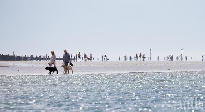 Живакът скочи до 37 градуса в Кипър