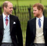 Принц Уилям проговори за смъртта на принцеса Даяна