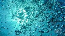Учени откриха морски същества с неизвестен произход