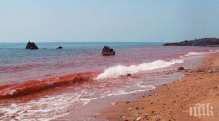 поредното пророчество библията сбъдна близо краят видео