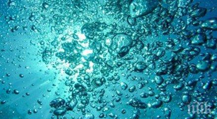 учени откриха морски същества неизвестен произход