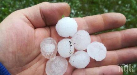 бедствие градушки удрят северозападната половина българия