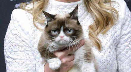отиде тъжната котка света grumpy cat