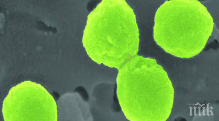 замърсяването пластмаса вреди бактерии помагат хората дишат