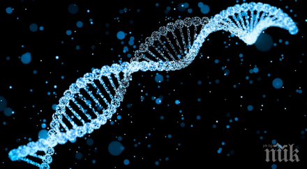 извлякоха човешка днк дъвка 000 години