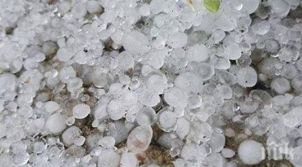 градушка лешник падна свищовско