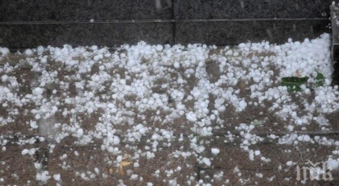 Градушката в Карловско унищожи между 70 и 100% от реколтата