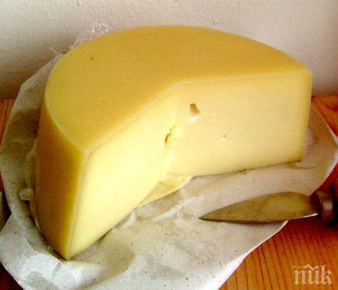 ОТВРАТ: Пробутват ни парено сирене за кашкавал