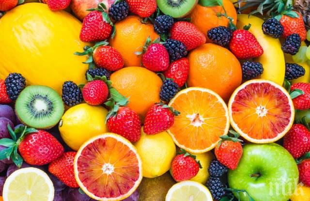 СУПЕР ПОЛЕЗНИ: Тези плодове съдържат най-много витамини