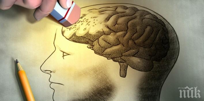 ВЪТРЕШЕН ВРАГ Учени откриха нова причина за болестта на Алцхаймер