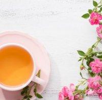 7-те добродетели на чая или какво ви очаква, ако пиете по една чаша дневно