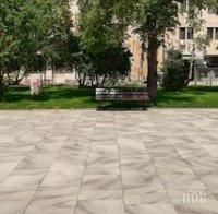 Столична община с инициатива в почит на Невена Коканова