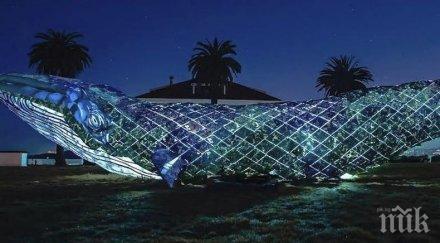 екологична акция сан франциско гигантска пластмасова скулптура кит постави световен рекорд видео