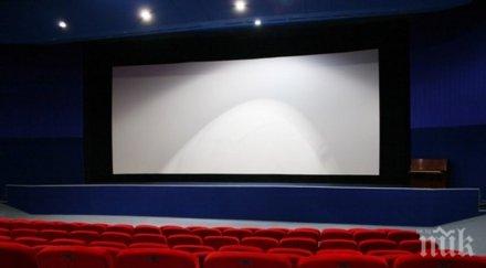 родното кино спечели млн година