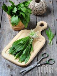 полезното дивия чесън