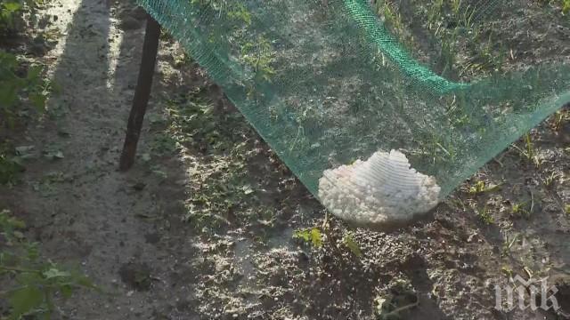 Ледените късове в Летница все още не са се разтопили