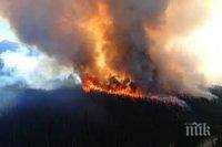 Близо 600 огнеборци се борят с пожар в западната част на Канада