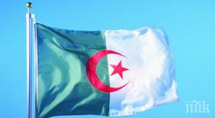 нито един желаещ президент алжир