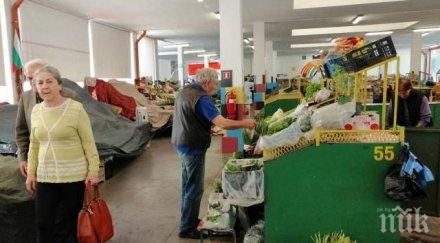 пазарите пловдив опустяха