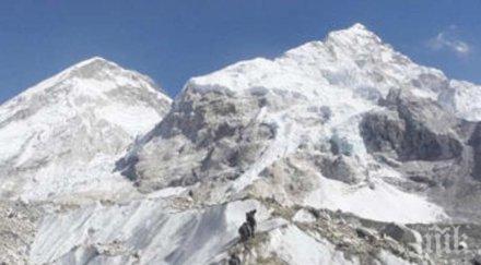 девет души загинаха еверест