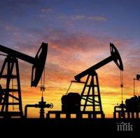 Пазарът на петрол си стъпва на краката