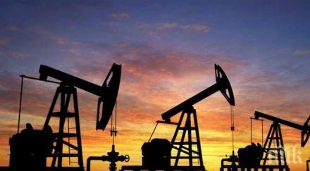 пазарът петрол стъпва краката