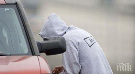 наглец годишен перничанин краде коли бръмчи захвърля