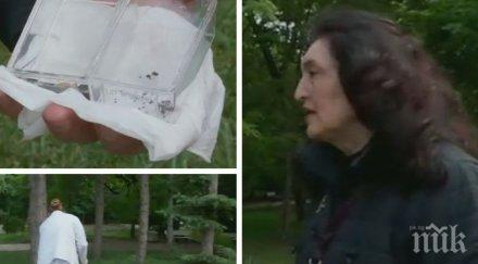 експерт разкрива бум кърлежи сезон ходят децата