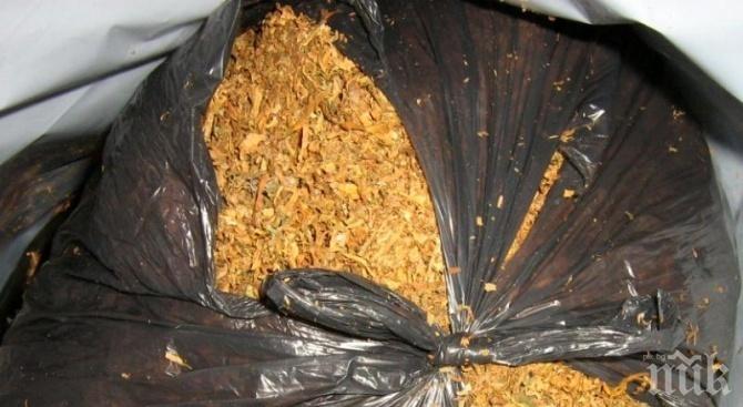 АКЦИЯ: Конфискуваха 300 кила насипен тютюн 