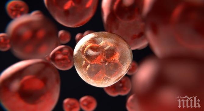 ЧЕРНА СТАТИСТИКА: Стряскащи данни за жертвите на рака в България